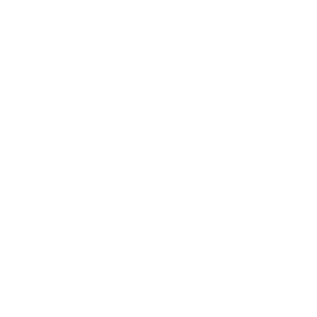 Lane Bryant Famous Brands Trading Inc